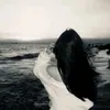 zahrahussein313
