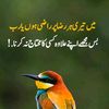 pindi.awan007