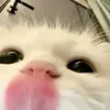 mihw.nqocz_
