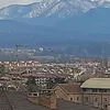 l745954