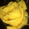 its_888a