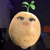 r4hm4n44