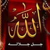 user1687925881139