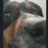 colton_9993