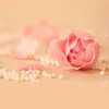 user13054568703526