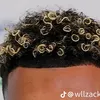taajiirhabibi0