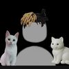 catperson692
