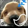 thy.nguyn4582