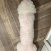 user1095959