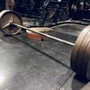 mr.roids1