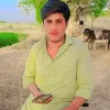 786wajid20