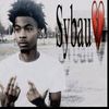 916.plug