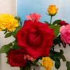 gulya.mard