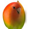 mango_birdy