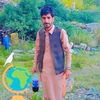 shaukat.khan598