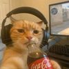user80095108406105