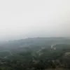 mothaiba366