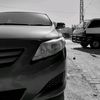 ali_here_523