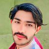 gull.hassan559