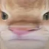 moss_gaming01