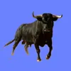 www.jamon.com