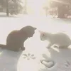 nastya_w03