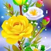 mdsojibhussain35