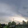 teh.pucuk0701