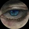 nightdxvid