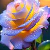 aminul.islam6406