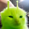 jayojay555