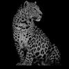 user_name.1829