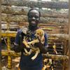 Abdul’s Animal Shelter