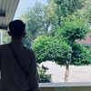 +0833🍋🕊️