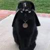 iskandarrrzzz