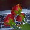 codezuri_solutions
