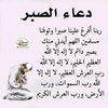 plmnbv344