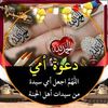 amera.el.sayed