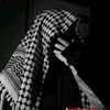user5017323600254