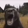 marzzbarzzz1