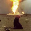 damirkin4
