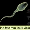 lucas.diaz325