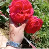 ilham2474
