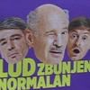 lud_zbunjen_normalan_23