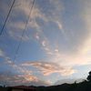 elvinsevilla89