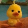 user6006061651804
