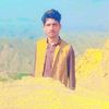 mamir.pirzada