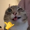 urixixi