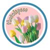 thetulipsco