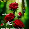 ammaamma3556